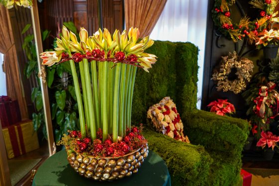 a dozen amarylis blooms in a basket with red christmas ball accents